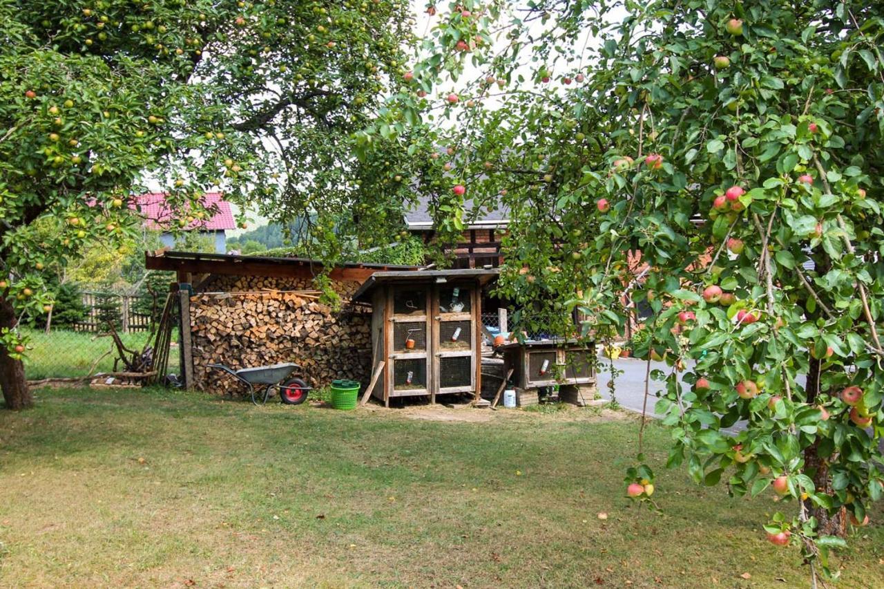 Hotel Haus Sonnenwalde - Familie Ruhe Rohrbach  Esterno foto