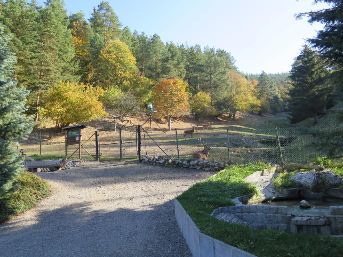 Hotel Haus Sonnenwalde - Familie Ruhe Rohrbach  Esterno foto